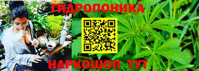 ALPHA PVP Комсомольск-на-Амуре