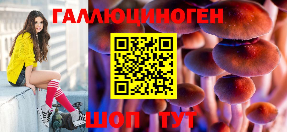 Галлюциногенные грибы GOLDEN TEACHER  Вход с VPN  Котлас  Псилоцибиновые грибы MAGIC MUSHROOMS 
