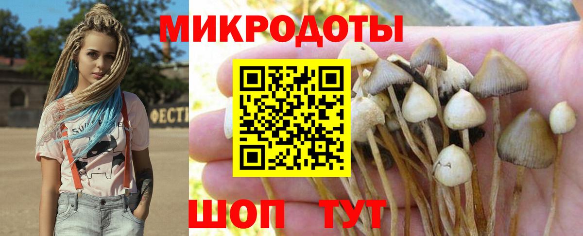Галлюциногенные грибы Magic Shrooms Котлас